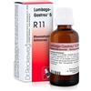 Dr.reckeweg Reckeweg r11 gocce 22ml