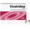 Cicatridina FARMA-DERMA Cicatridina Forte Integratore Alimentare con Acido Ialuronico | Supporto Nutrizionale per Pelle e Articolazioni | Uso Quotidiano | Senza Glutine e Lattosio | 30 Compresse