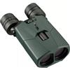 Alpen Optics Binocolo con stabilizzazione dell'immagine Apex Steady HD 20x42 "