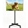 oCreon Supporto TV mobile - Carrello con ruote - Regolabile in altezza - Adatto per televisori LCD, LED, Plasma e curvi da 21 a 60 pollici - Capacità di carico: 35 kg