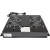 INTELLINET NETWORK SOLUTIONS Intellinet - RacK-L?fterfach (220/240 V) Mit Thermostat (4 L?fter) - Schwarz, Ral 9005 - 48,3 Cm (19) (712866)