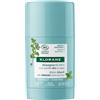 Klorane Maschera Stick alla Menta BIO e all'Argilla 25g - Opaccizza pelle grassa 25 g Shampoo