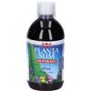 Winter Planta Slim Depuraty Soluzione Orale 500 ml orale