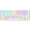 INF Tastiera meccanica RGB Tri-Mode Bluetooth a 61 tasti - Interruttori tè