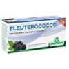 Specchiasol ELEUTEROCOCCO 12 FLACONCINI X 10 ML