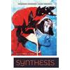 Dante Alighieri Synthesis. Dante, inferno, la sintesi. Per le Scuole superiori. Con e-book. Con espansione online