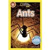 Melissa Stewart National Geographic Kids Readers: Ants (Tascabile)