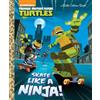 Mary Tillworth Skate Like a Ninja! (Teenage Mutant Ninja Turt (Copertina rigida)