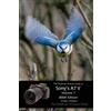 Gary L Friedman The Friedman Archives Guide to Sony's A7 V Volume 1 (Tascabile)
