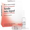 Heel Guna Tendo Suis Injeel Heel Rimedio Omeopatico 10 Fiale