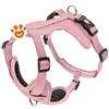 Ferribiella Dog Pettorina Cesare Rosa - S (33-52x1,5cm)