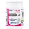 LABORATOIRE NUTERGIA Ergyphilus Intima 60 Capsule