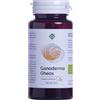 GHEOS Ganoderma Gheos 90 Capsule Da 540mg