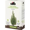 CIFO - Concime Piante Verdi e Siepi Idrosolubile, Fertilizzante Casa, Fertilizzante Piante Terrazzo e Giardino, Favorisce la Formazione di Fogliame e Ne Intensifica la Crescita, Made in Italy, 600g