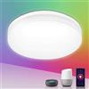 Lepro Lampada da soffitto RGB LED da 15 W, dimmerabile, 1250 lm, 2700 K, bianco freddo, IP54, Alexa Smart WiFi, compatibile con Alexa, App, Google Home per cameretta dei bambini, camera da letto,