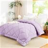 WAVVE Piumino Imbottitura Nordica 180x200 cm per Letto 150, Piumino in Fibra 300gr/m², Leggero, Morbido, Traspirante per Autunno e Inverno (180x200 cm, Violetta)