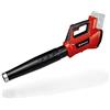 Einhell Professional Soffiatore a batteria GP-LB 36/210 Li E-Solo | PXC | 36 V | Portata d'aria 816 m³/h | Interruttore turbo | Tubo in 3 parti e rimovibile | Senza batteria