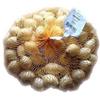 Bulbi di Cipolla Bianca da seme 500g