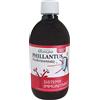 SYGNUM Srl PHILLANTUS 500ML