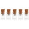 Hsthe Sea 5 PACK 16 GB Simpatica chiavetta USB 2.0 Barattoli di archiviazione Scatola unica Vaso di vetro Bottiglia e sughero Memory Stick Pen Drive Regalo di nozze Elettronica Fantasia