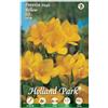 L'ORTOLANO Holland Park Bulbi Da Fiore Di Molte Varietà E Colori In Sacchetto Blister Con Foto (Fresie Semplici Gialla 10 Bulbi)