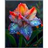 KMIODS Bellissimo Rizoma Di Amaryllis, Resistenti Al Freddo E Alla Siccità, Facile Da Coltivare, Adatto A Primavera E Autunno-3 rizoma-A