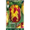 Generic TULIPANO REMBRANDT HELMAR CONFEZIONE DA 10 BULBI AUTUNNALI BULBS BULBES