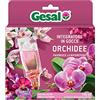 GESAL Nutrimento in Gocce per Orchidee, 1 Mese di Efficacia, Pronto all'uso, 150 ml (5 Fiale da 30 ml)