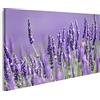 islandburner Quadro su tela Fiori di lavanda sbocciare primo piano fioritura Provenza Francia GMGM Quadri Stampe Immagini Murale Decorazione da parete