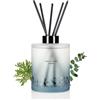 M&SENSE Bastoncini profumati all'eucalipto e menta, 500 ml, set di | Profumo per ambienti, bastoncini profumati, diffusore a bastoncini, formula atossica