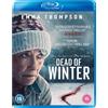 Vertigo Releasing Dead of Winter (Blu-ray) Dalton Leeb Brían F. O'Byrne Marc Menchaca Gaia Wise