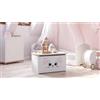 Dmora Baule Bialystok, Contenitore Multiuso, Cassapanca Multiuso, Box portaoggetti, 40x42 h73 cm, Bianco con Gatto