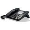 Innovaphone IP111 telefono IP Nero Cornetta cablata LCD