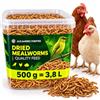 ALEJANDRO FUENTES AF® Camole della Farina Essiccate 500g, 3,8L Mangime Uccelli Selvatici Tenebrio Molitor 52% Proteine, Snack Naturale per Pettirosso, Cinciallegra e Ricci, Alternativa Farina di Grillo 100% Naturale