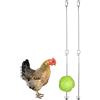 Temeemeg Giocattoli di Pollo per Galline da Giardino Domestico Spiedino di Verdure di Pollo Porta Alimenti per Frutta per Animali Domestici in Acciaio Inossidabile Giocattolo da Appendere per Galline da Gia