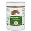 VETRIPHARM Equi Power Artiglio del Diavolo 80% - Per kraeftige articolazioni e cartilagine