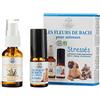 Elixirs & Co Les Fleurs de Bach pour Animaux Bio - 1 Elixir Stress 10 ml e Spray Buccal Conforto 20 ml - Effetto lenitivo Gatto, Cane, Animali - Elixirs&CO - Fleur de Bach 100% Natural - Made in France