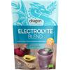 Dragon Superfoods Miscela di Elettroliti - 100% Bio e Vegana, Ricca di Fibre, senza Zuccheri Aggiunti - 200 g
