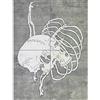 Artery8 Hokusai Skull Rib Cage Macabre Japanese Painting XL Giant Panel Poster (8 Sections) Cranio giapponese Pittura Manifesto