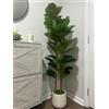 IDEALHOUSE Fico artificiale realistico (Fiddle Leaf Fig), 74 foglie verdi, in vaso bianco, decorazione per soggiorno/ufficio/interno/esterno, 1,8 m
