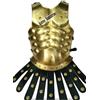 ACTIVE INDUSTRIES Armatura romana Pettorale Armatura Muscolare Armatura Corpo Ferro Medievale Armatura Torace Replica Muscolare Armatura Giacca Ottone Acciaio Antico Giacca