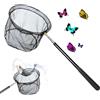 CATELL Guadino Pesca Telescopico 66-173 cm Retino da Pesca Bambini con Asta Telescopica Retino Mare Bambini, Retinos per Farfalle Ideale per Spiaggia Insetti Giardino Attività All'aperto Stagno Pescas