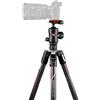 Manfrotto Befree GT Travel Carbon Fiber Tripod with 496 Ball Head for Sony Alpha Cameras, Twist Locks, Black