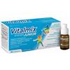 MONTEFARMACO OTC SPA Vitalmix junior*int vit 12fl