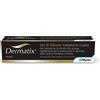 Dermatix gel 60 g np - DERMATIX - 903674341