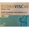 SHEDIR Siringa intra-articolare rudravisc 40 hc acido ialuronico sale sodico 40 mg 2 ml 3 pezzi - SHEDIR - 941869253