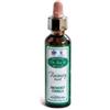 SANTIVERI Ainsworths recov plus 20ml - SANTIVERI - 906515921