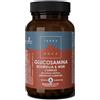 FORLIVE Terranova complesso di glucosamina boswellia e msm 50 capsule - FORLIVE - 971551940