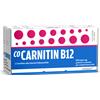 COCARNETINA Cocarnitin b12 500 mg/2 mg polvere e solvente per sospensione orale - COCARNETINA - 021852013