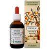 ARCANGEA Progea 50 ml - ARCANGEA - 906585409